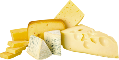 Various Kinds of Cheeses - Isolated