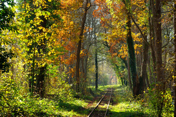 Railroad track in the French Gâtinais Regional Nature Park. Seine et Marne country