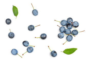 Blackthorn fruits isolated on a white background, top view