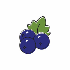 fruits blueberry icon