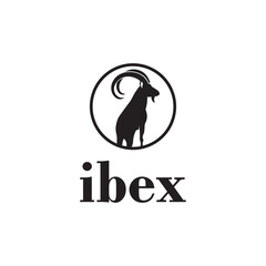 Ibex animal logo design on white background.