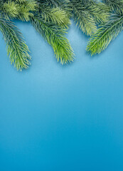 Christmas composition. Christmas tree branches on blue background. Copy space, flat lay, top view.