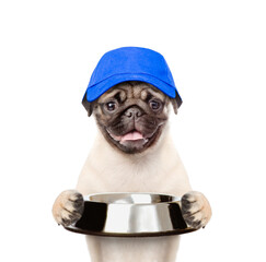 Hungry Pug puppy wearing blue cap holds empty bowl. isolated on white background