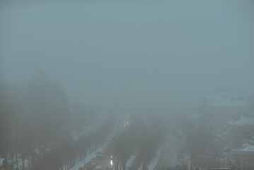 part of autumn
natural landscape with a view of space;
road and alley in thick fog