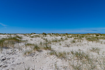 Dune landscape on the island of Amrum