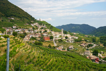 Fototapeta na wymiar Vineyards along the Road of Prosecco e Conegliano Wines