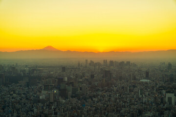 Fototapeta premium Tokyo, Japan cityscape with Fuji. City view of Tokyo in the sunset light with Mount Fuji.