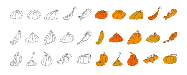 Autumn design template, hand drawn pumpkins, flat vector illustration