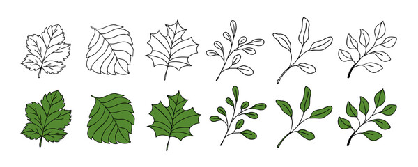 Leaves vector sketch set. Hand drawn decorative elements