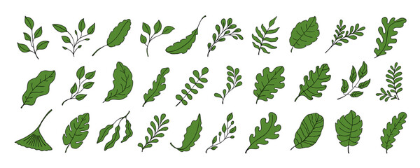 Leaves vector sketch set. Hand drawn decorative elements
