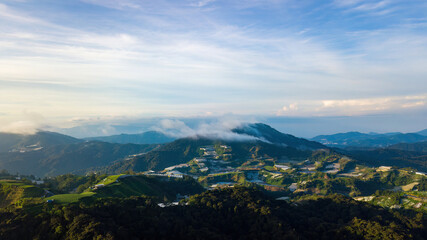 Fototapeta na wymiar Mountain valley in contrasting morning light in Cameron Highlands.