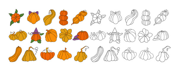 Autumn design template, hand drawn pumpkins, flat vector illustration