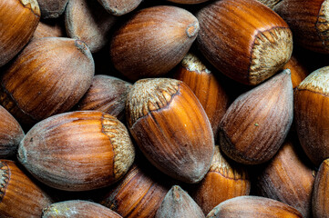 Stacked macro of some hazelnuts