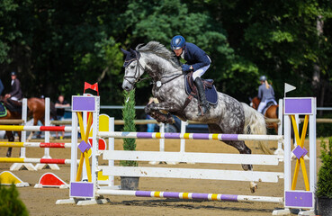 Showjumping horse white with rider in the course, photographed from the side jumping over an obstacle, in the background further riders in the blur..