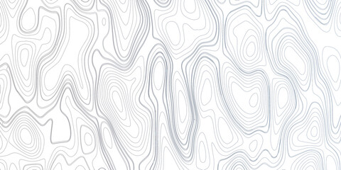 Abstract  3d Topographic map background.Line topography map contour background with space for copy.abstract vector illustration with geographic grid.