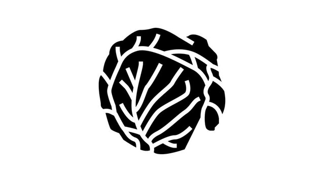green cabbage line icon animation