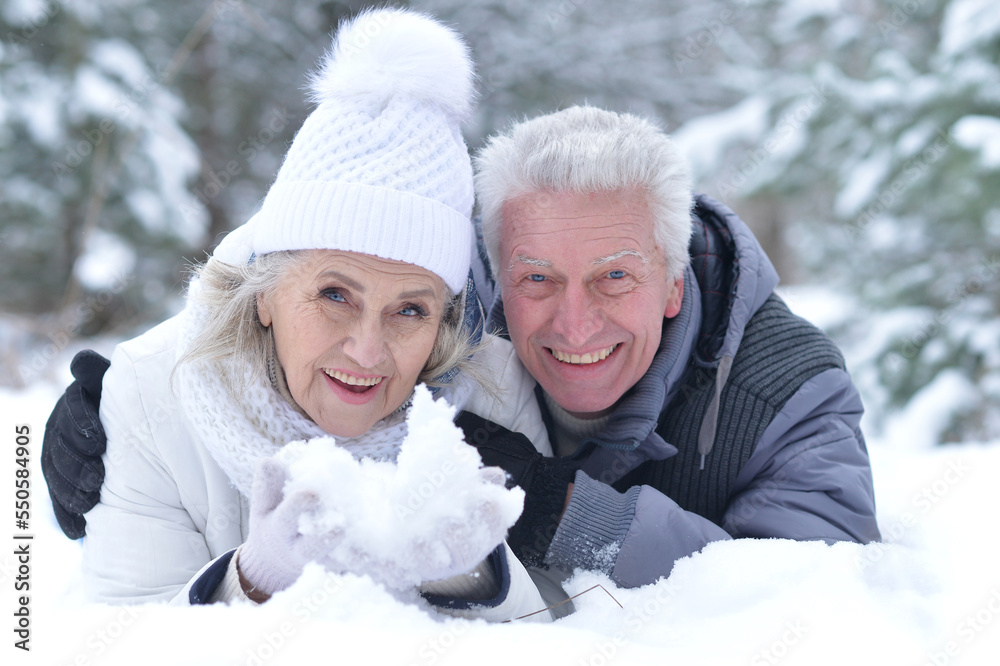 Poster nicel elderly couple rejoice together in winter