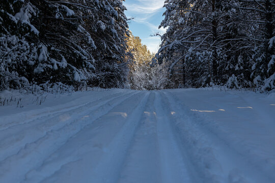 A country road in a snow-covered forest in the taiga on a winter day. beautiful landscape of winter coniferous forest.