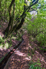 Levada dos Cedros hiking trail in Madeira