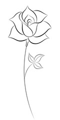 black contour rose flower art drawing
