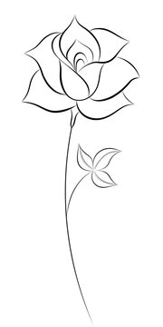 black contour rose flower art drawing