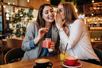 Two best friends sitting in coffee bar or restaurant after shopping and happily talking together.