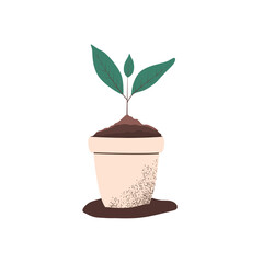 Vector illustration of a potted plant. Sprout. The young plant. Seedlings