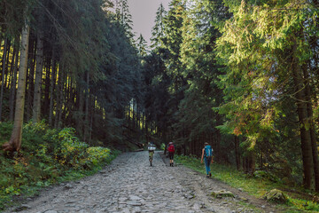 Hike Group of people hiking forest trail in autumn nature going camping with backpacks. Woman and man walking uphill on mountain. 