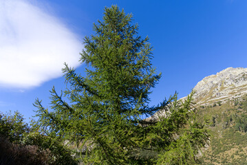 Scenic landscape with mountain panorama and valley at region of Swiss mountain pass Furkapass on a sunny late summer noon. Photo taken September 12th, 2022, Gletsch, Switzerland.