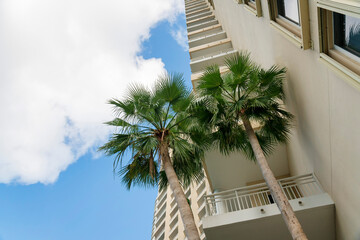 Fototapeta na wymiar Palm trees near the balconies at the corner of the building undert the clouds in the sky- Miami, FL