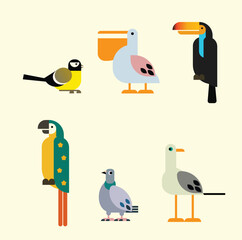 set of cartoon birds, vector illustration