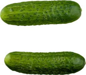 Fruit and Vegetable Letters and Punctuation - Equal