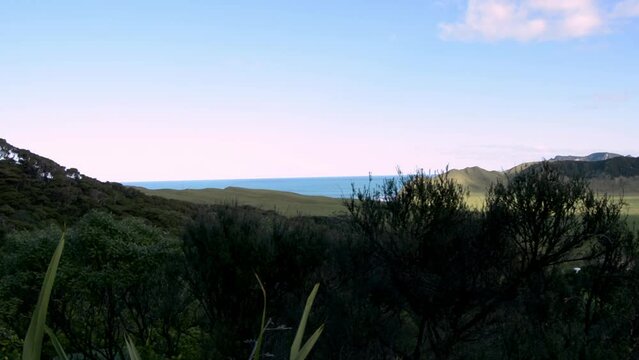 Hills covered in greenery surrounded by the sea during the sunset in Eastland, New Zealand