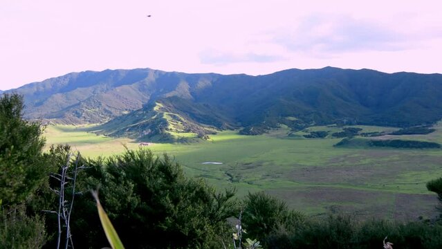 Hills covered in greenery surrounded by the sea during the sunset in Eastland, New Zealand