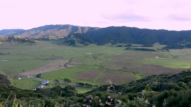 Hills covered in greenery surrounded by the sea during the sunset in Eastland, New Zealand