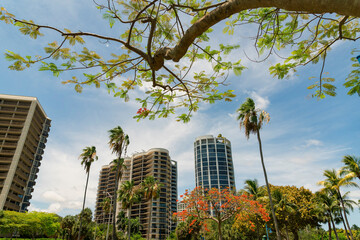 Fototapeta na wymiar Views of multi-storey residential buildings with trees outdoors at Miami, Florida