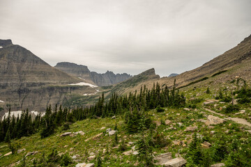 Trail Heads Toward Piegan Pass And On Into The Many Glacier Area