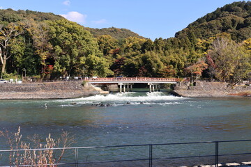 宇治川の観流橋