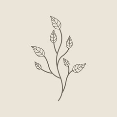 Hand drawn leaves line art