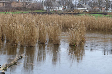 View of a frozen lake with smooth ice.