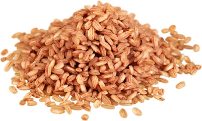 Dry Wheat - Isolated