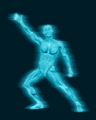Fototapeta na wymiar average man muscle maps