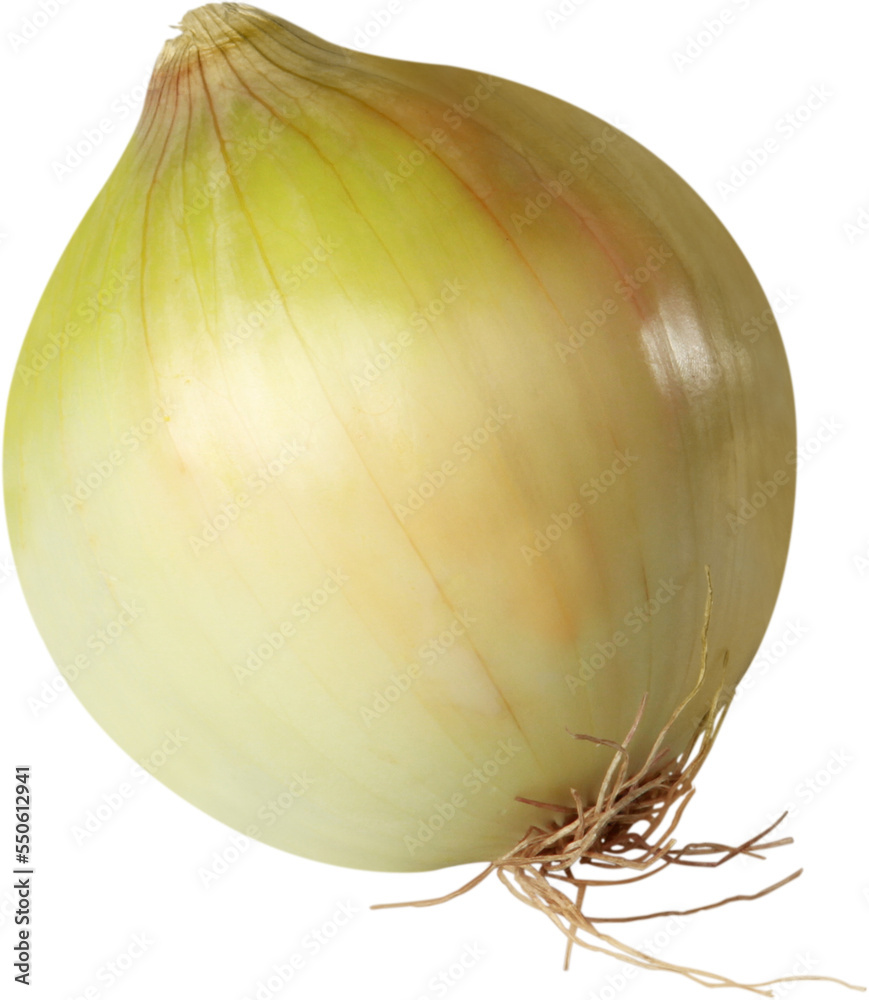 Poster Close-up of fresh onion isolated on white background