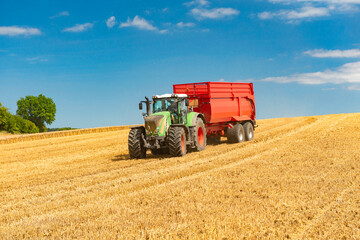 Fototapeta na wymiar Tractor with loader wagon during grain harvest in the cornfield