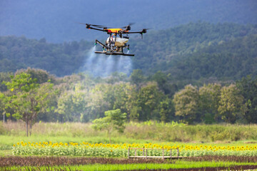 Fototapeta na wymiar Drone spray pesticide on rice field