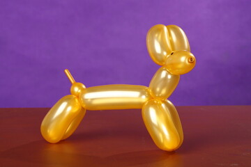 Balloon art: golden yellow poodle balloon