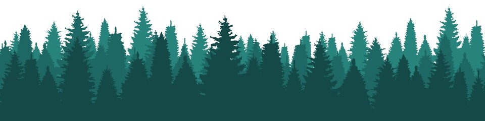 Silhouette of Christmas trees. Vector silhouette of forest trees. Abstract forest vector background...