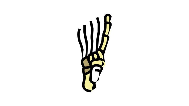 foot bone color icon animation