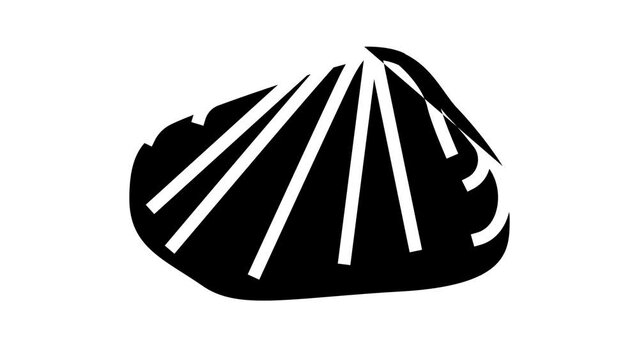 donax clam line icon animation