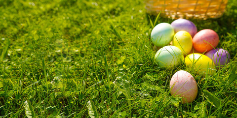Colorful Easter eggs near a basket. Holiday background with copyspace